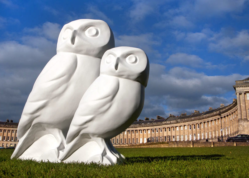 From hatching to flight – the incredible journey of a Minerva’s Owl sculpture