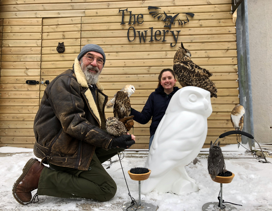 The Owlery receives a new Owlet