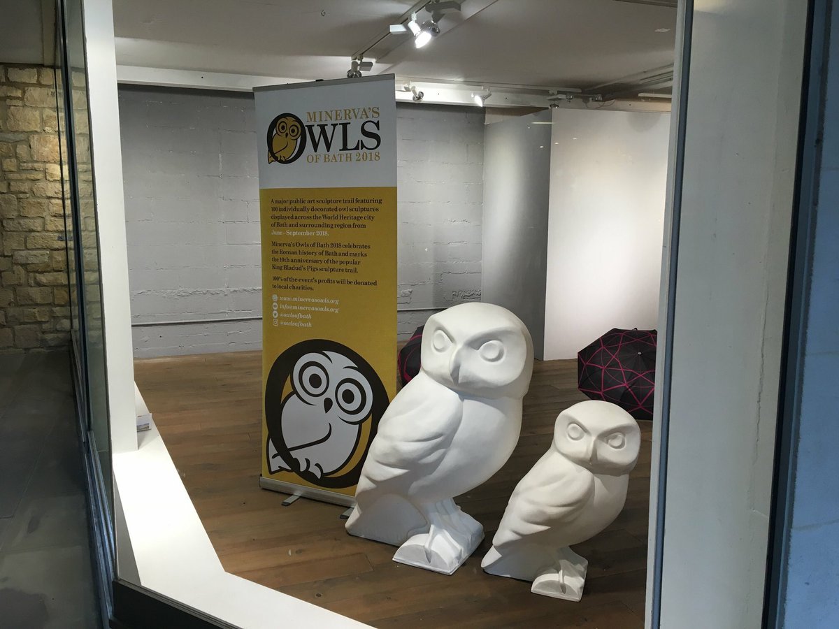 Owls land in Milsom Place, en route to Artists