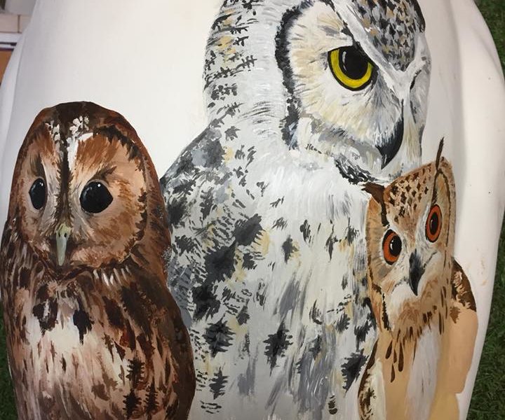Owl design for Owlery Owlet