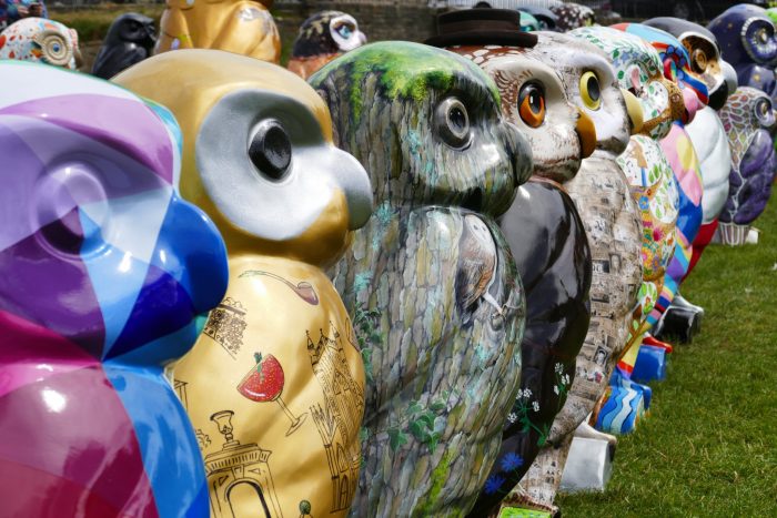 Owls of Bath land in The Telegraph