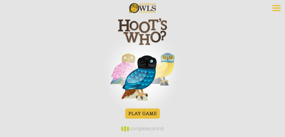 Hoot’s Who?  Amazing online Owls of Bath game!