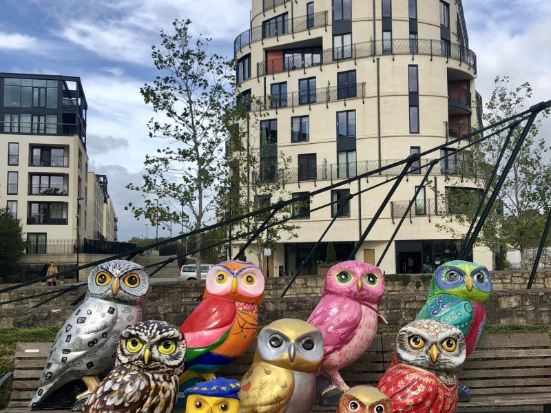Owls nesting at new Bath Riverside HQ